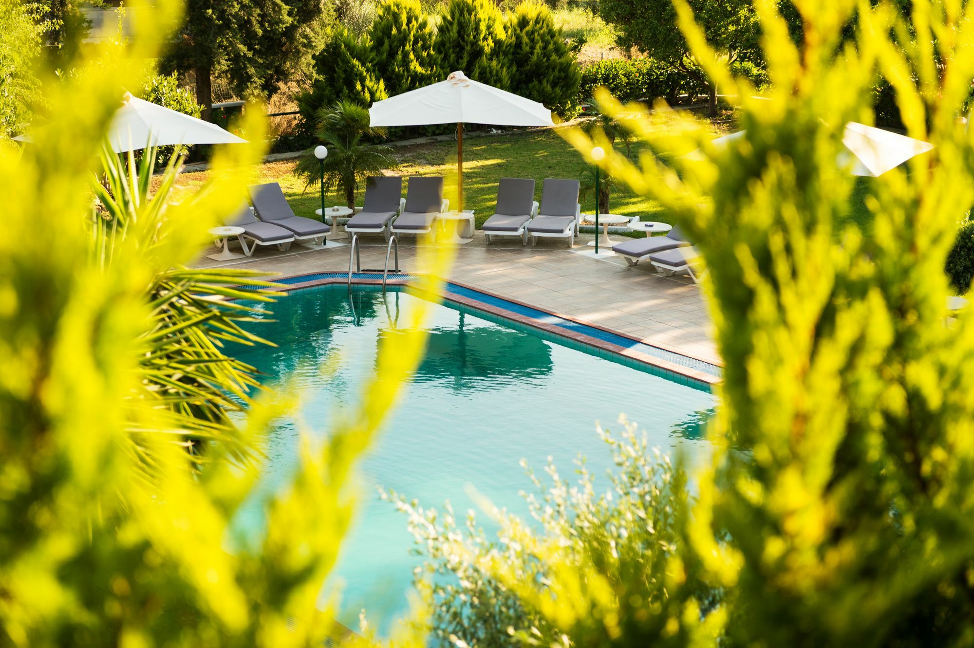 Terinikos Sunny Garden Hotel Junior Suites Ialysos  Esterno foto
