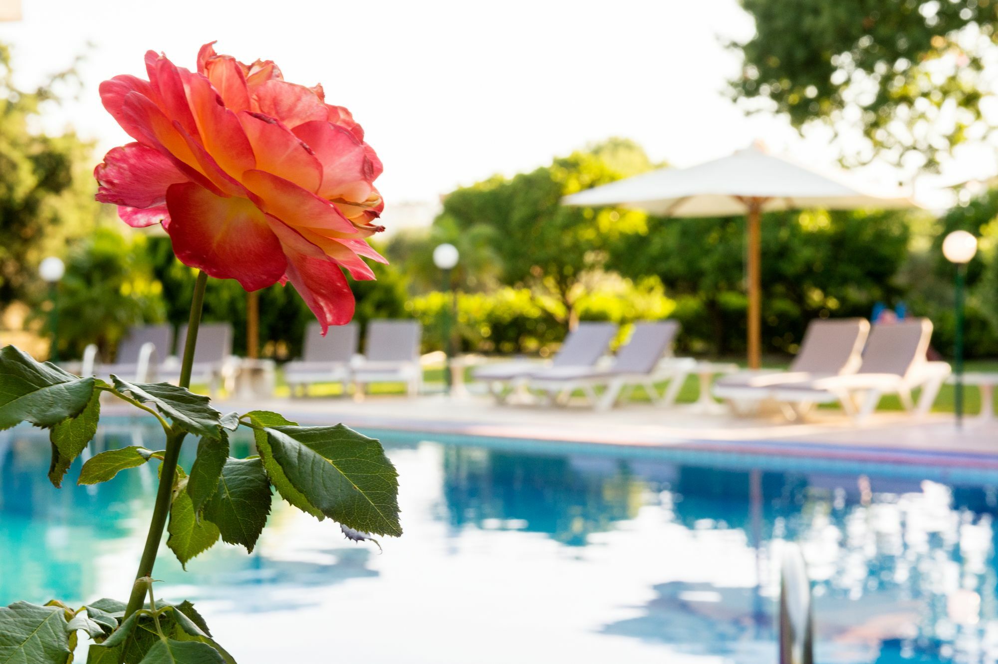 Terinikos Sunny Garden Hotel Junior Suites Ialysos  Esterno foto
